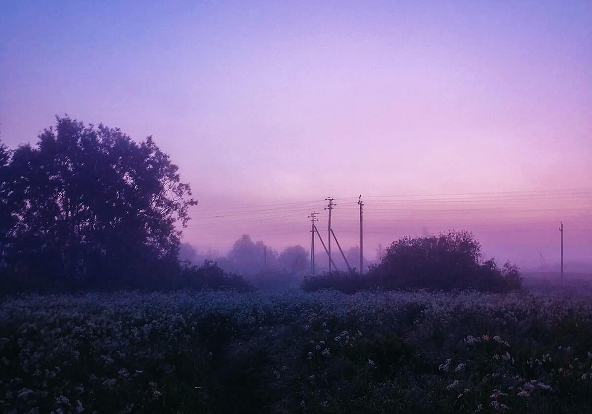 李梦发博晒詹姆斯中国行互动花絮：咱家来客人了 欢迎常来啊